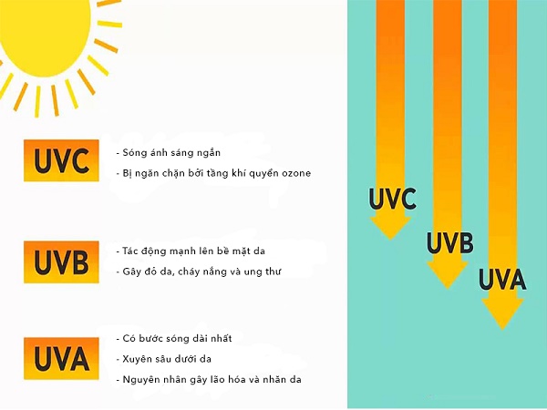 Tia UV ảnh hưởng như thế nào đến sức khỏe con người?