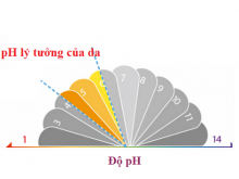 Giữ da ở độ pH bao nhiêu là thích hợp?