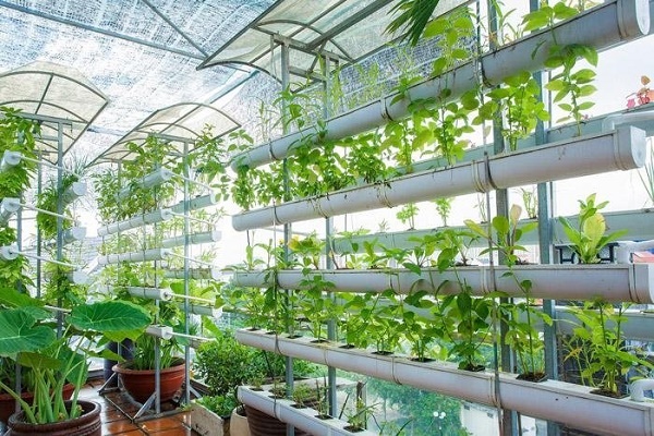 Lựa chọn mô hình sân thượng phù hợp với điều kiện gia đình