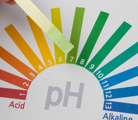 Làm thế nào để đo độ pH của nước uống?
