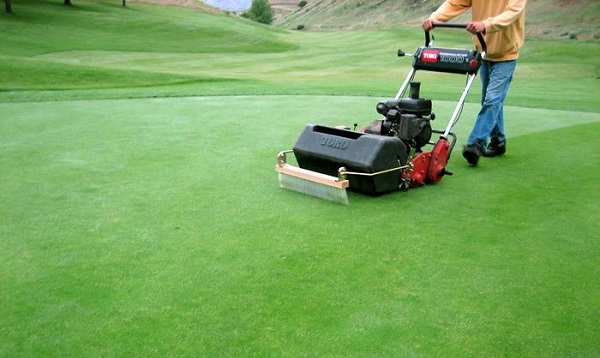 Máy cắt cỏ sân golf