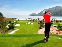 trồng cỏ sân golf