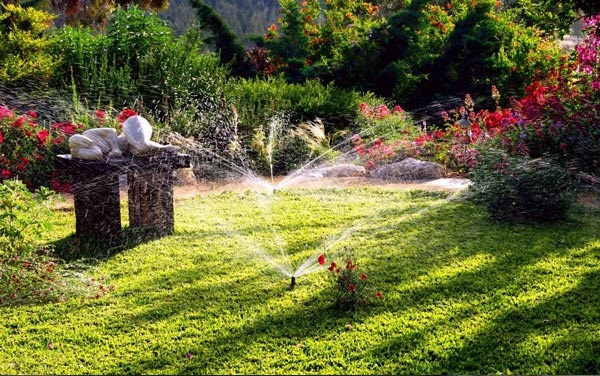 Xây dựng hệ thống tưới nước cho cỏ