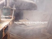 bụi gỗ độc không