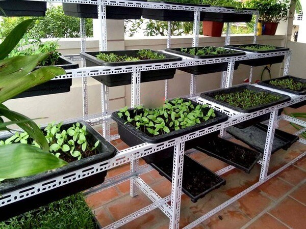 Phác họa giàn trồng rau