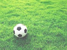 hình ảnh sân cỏ bóng đá