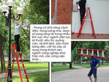 Thang nhôm chữ A 2m5