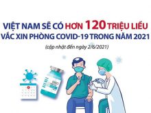 Vacxin covid 19