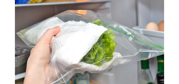cách dự trữ đồ ăn trong tủ lạnh