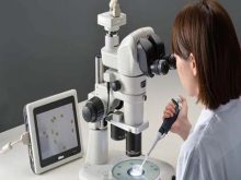 tác hại của nấm mốc với kính hiển vi