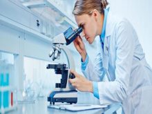 cách sử dụng kính hiển vi soi nổi