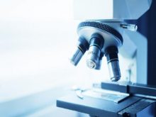 cách tính độ phóng đại của kính hiển vi