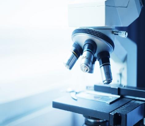 cách tính độ phóng đại của kính hiển vi