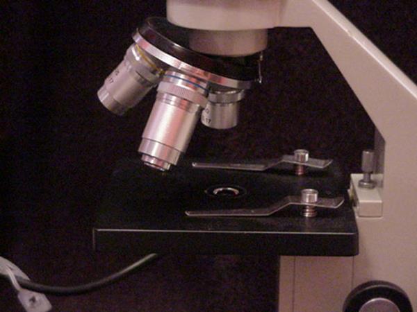 cách tính độ phóng đại của kính hiển vi