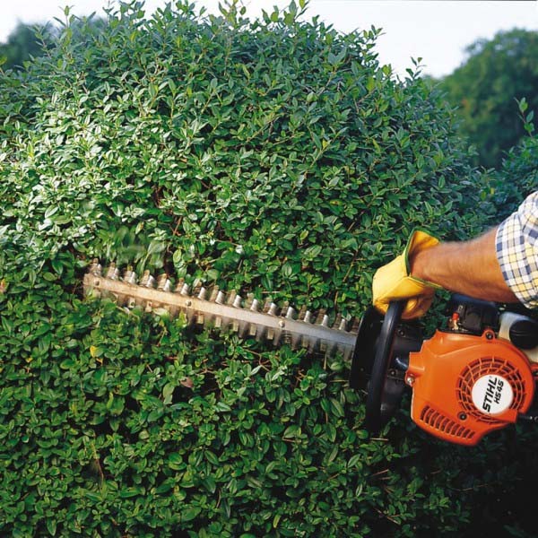 Hình ảnh máy cắt tỉa hàng rào stihl hs 45