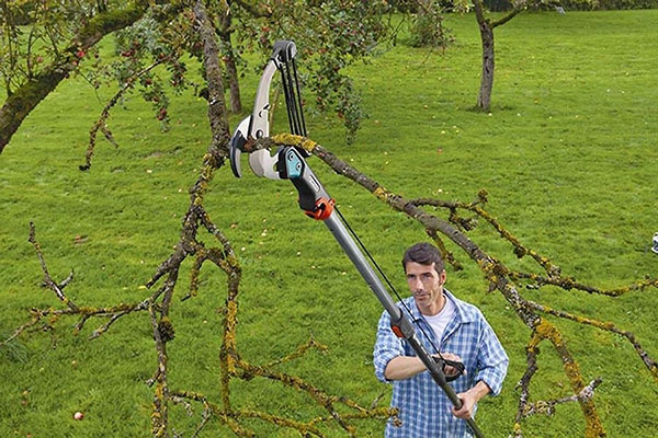 Máy cắt cành trên cao chạy pin phù hợp cho gia đình sử đụng