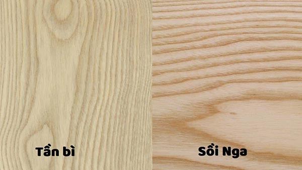 So sánh gỗ sồi Nga và tần bì