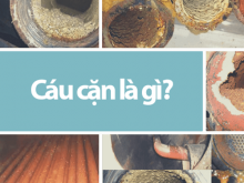 Cáu cặn là gì?