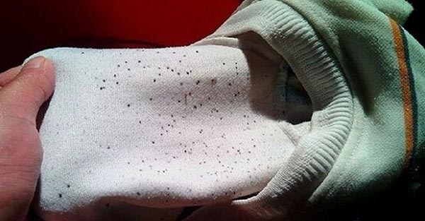 Độ ẩm cao làm quần áo mốc meo, hư hại