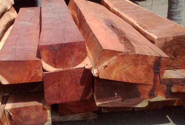 Gụ có tỉ trọng lớn nên rất nặng