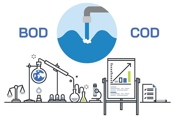 chỉ số bod và cod là gì