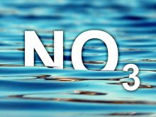 No3 trong nước