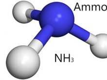 Chất amoni có kí hiệu hóa học là NH3