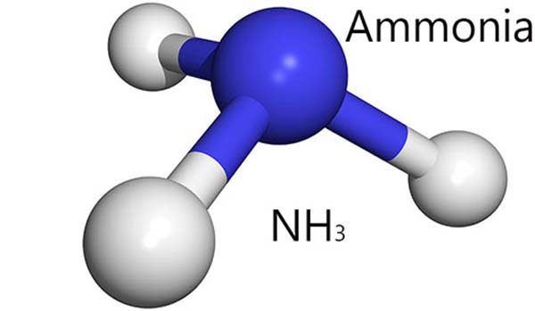 Chất amoni có kí hiệu hóa học là NH3
