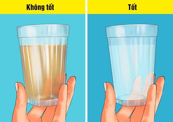 Quan sát màu sắc của nước để kiểm tra chất lượng nước