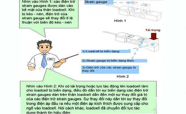 Nguyên lý làm việc của loadcell