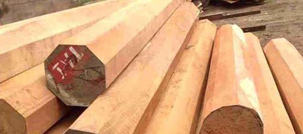 Sến mủ có màu vàng nhạt