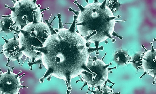 nCoV là chủng mới nhất trong họ virus corona.
