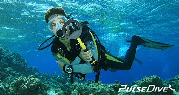 Tay dò kim loại chống nước PulseDive 2 in 1