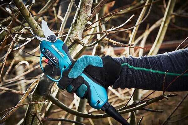Công ty THB Việt Nam cung cấp máy cắt tỉa Makita chính hãng