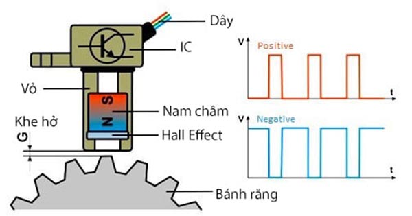 Cấu tạo cảm biến trục khuỷu Hall