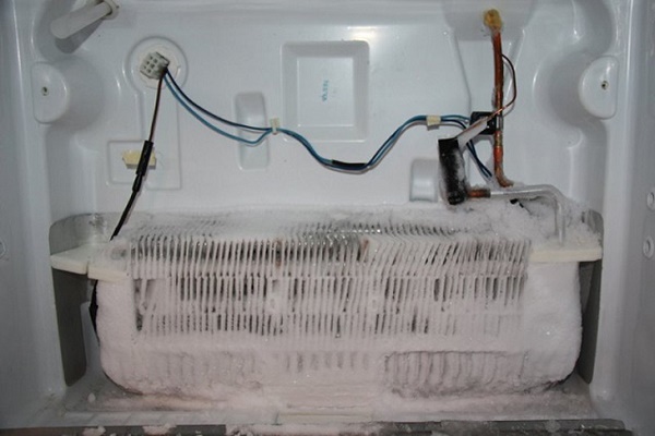Cầu chì nhiệt có tác dụng bảo vệ tủ lạnh khi quá dòng