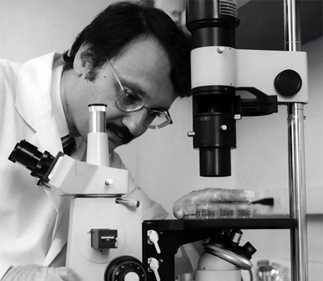 kính hiển vi sửa điện thoại