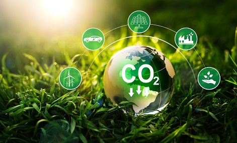 cây xanh thải khí CO2 khi nào