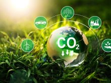 cây xanh thải khí CO2 khi nào