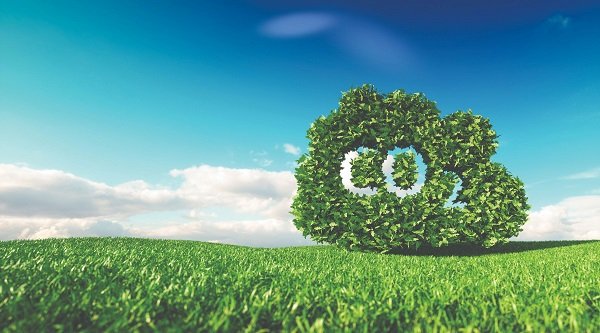 Tại sao cây thải ra khí CO2?