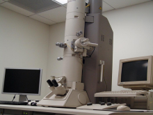 Hai loại kính hiển vi điện tử