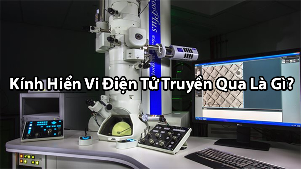 Kính hiển vi điện tử sem là kinh hiển vi điện tử truyền qua