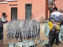 Quy trình thuộc da bò