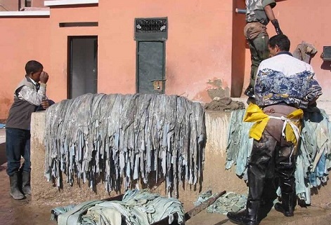 Quy trình thuộc da bò