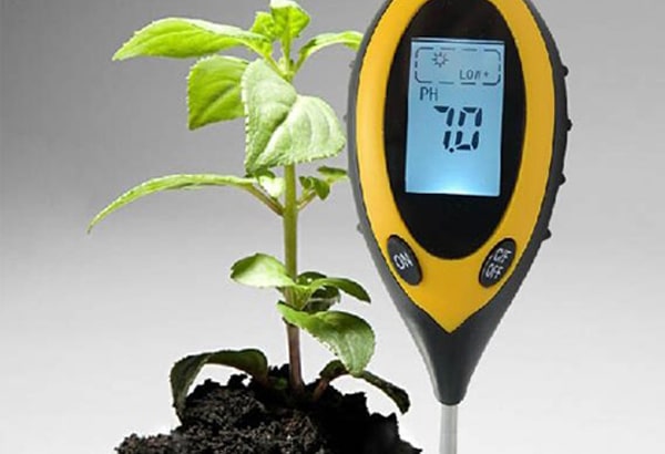 Đo pH đất bằng máy đo chuyên dụng 