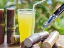 Đo độ brix của mía