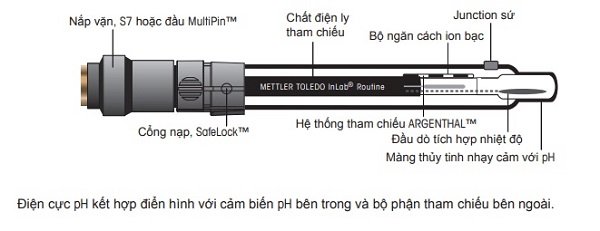 Phần điện cực của máy đo pH 