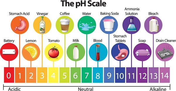 Nguyên lý hoạt động của máy đo pH 