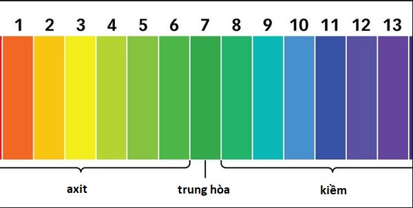 Bảng màu độ pH của nước 