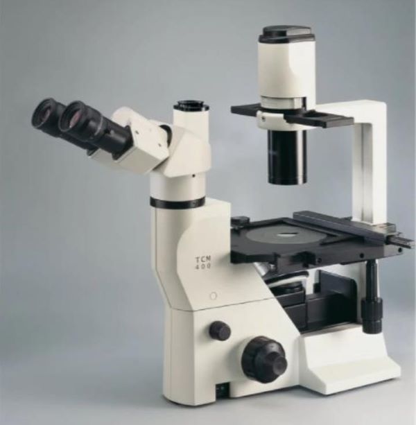 Hình ảnh kính hiển vi Labomeed TCM 400 